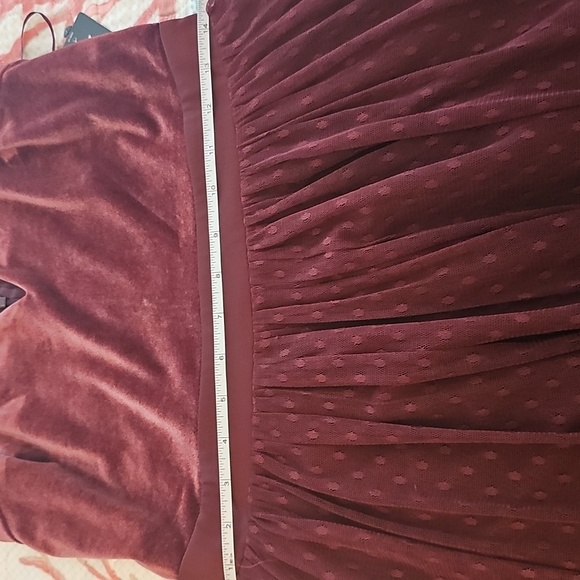 Express Deep Red Velvet Dress - Picture 8 of 8